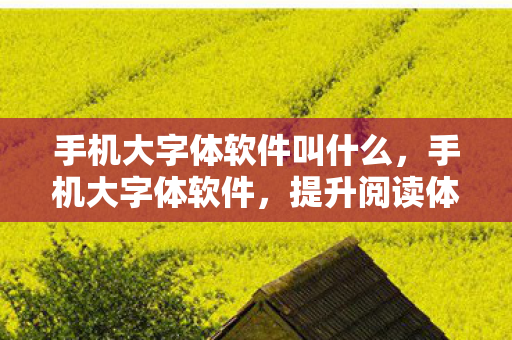 手机大字体软件叫什么，手机大字体软件，提升阅读体验的新选择