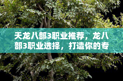 天龙八部3职业推荐，龙八部3职业选择，打造你的专属传奇