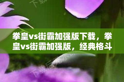 拳皇vs街霸加强版下载，拳皇vs街霸加强版，经典格斗游戏的碰撞与融合