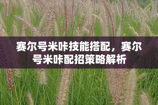赛尔号米咔技能搭配，赛尔号米咔配招策略解析