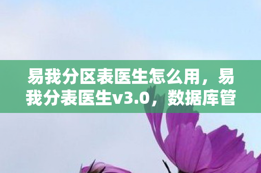易我分区表医生怎么用，易我分表医生v3.0，数据库管理的得力助手