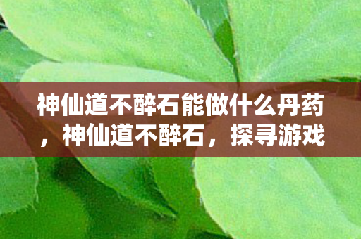 神仙道不醉石能做什么丹药，神仙道不醉石，探寻游戏世界的奥秘与乐趣