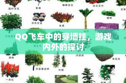 QQ飞车中的穿墙挂,游戏内外的探讨 QQ飞车中的穿墙挂,游戏内外的探讨