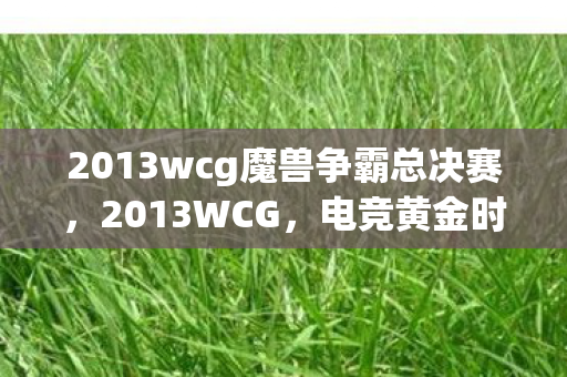 2013wcg魔兽争霸总决赛，2013WCG，电竞黄金时代的璀璨篇章