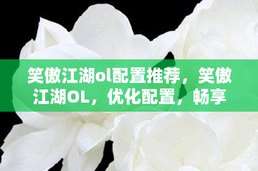 笑傲江湖ol配置推荐，笑傲江湖OL，优化配置，畅享江湖之旅