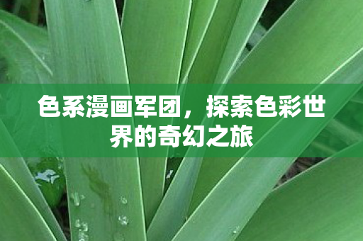 色系漫画军团，探索色彩世界的奇幻之旅