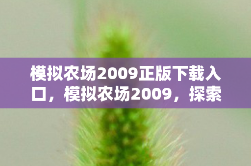 模拟农场2009正版下载入口，模拟农场2009，探索虚拟农业的乐趣与挑战
