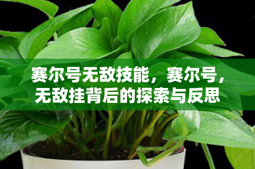 赛尔号无敌技能，赛尔号，无敌挂背后的探索与反思