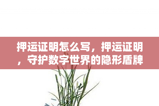 押运证明怎么写，押运证明，守护数字世界的隐形盾牌