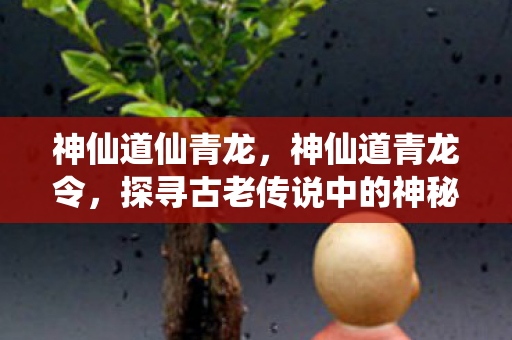 神仙道仙青龙，神仙道青龙令，探寻古老传说中的神秘令牌