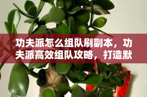 功夫派怎么组队刷副本，功夫派高效组队攻略，打造默契团队，共闯江湖！