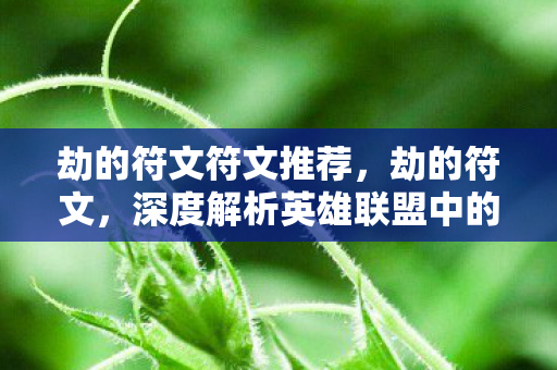 劫的符文符文推荐，劫的符文，深度解析英雄联盟中的刺客符文选择