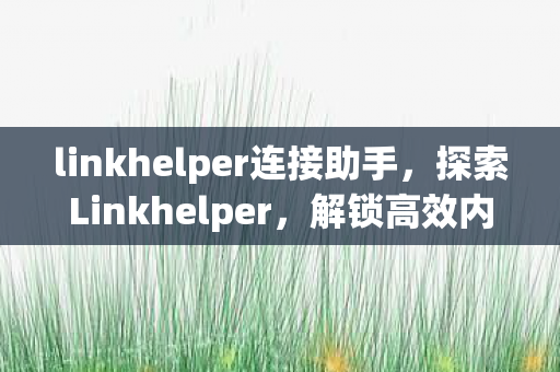 linkhelper连接助手，探索Linkhelper，解锁高效内容创作与管理的秘密