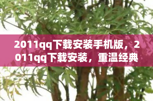 2011qq下载安装手机版，2011qq下载安装，重温经典，体验怀旧QQ版本