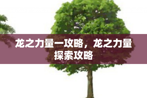 龙之力量一攻略，龙之力量探索攻略