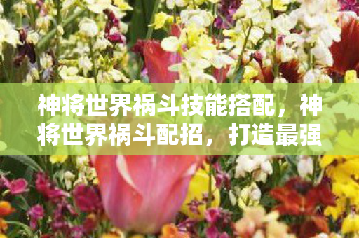 神将世界祸斗技能搭配，神将世界祸斗配招，打造最强战斗阵容
