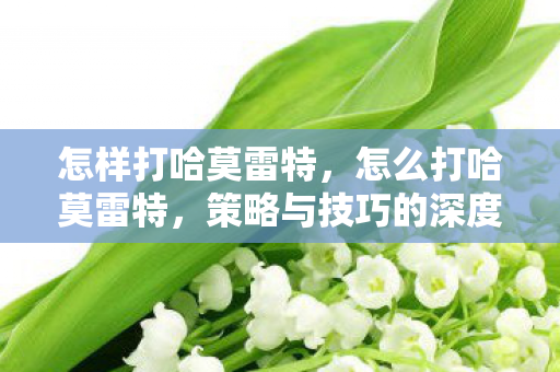 怎样打哈莫雷特，怎么打哈莫雷特，策略与技巧的深度解析