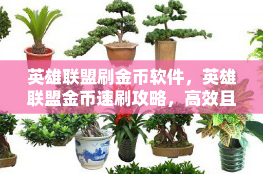 英雄联盟刷金币软件，英雄联盟金币速刷攻略，高效且合规的金币获取方法