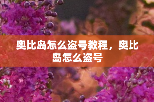 奥比岛怎么盗号教程，奥比岛怎么盗号