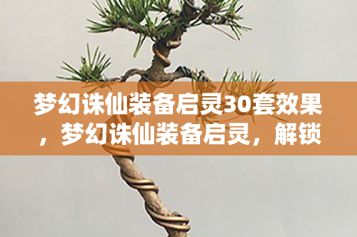 梦幻诛仙装备启灵30套效果，梦幻诛仙装备启灵，解锁装备潜能，提升战斗实力
