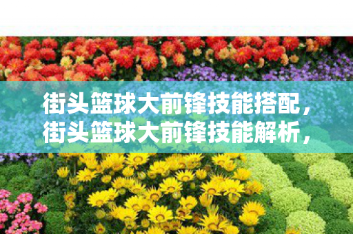 街头篮球大前锋技能搭配，街头篮球大前锋技能解析，内线霸主的核心武器