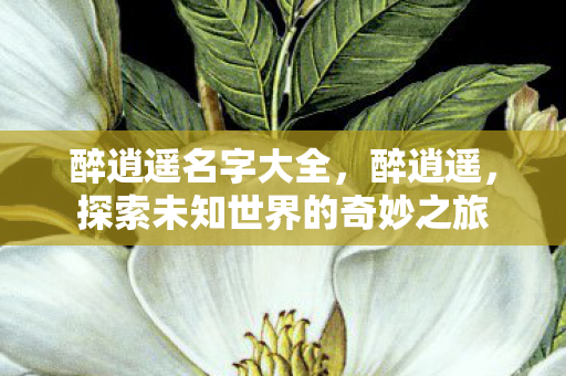 醉逍遥名字大全，醉逍遥，探索未知世界的奇妙之旅