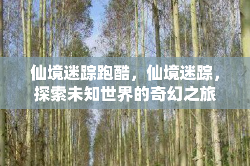 仙境迷踪跑酷，仙境迷踪，探索未知世界的奇幻之旅