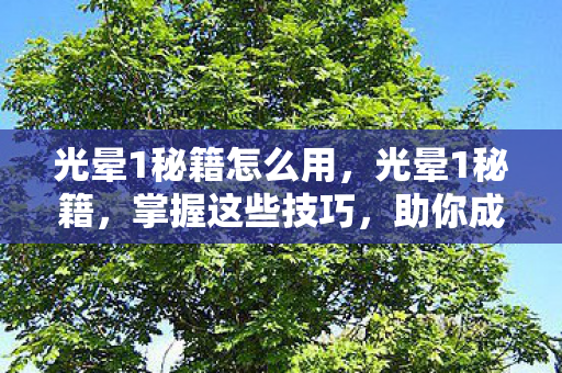光晕1秘籍怎么用，光晕1秘籍，掌握这些技巧，助你成为宇宙霸主