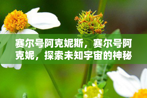 赛尔号阿克妮斯，赛尔号阿克妮，探索未知宇宙的神秘之旅