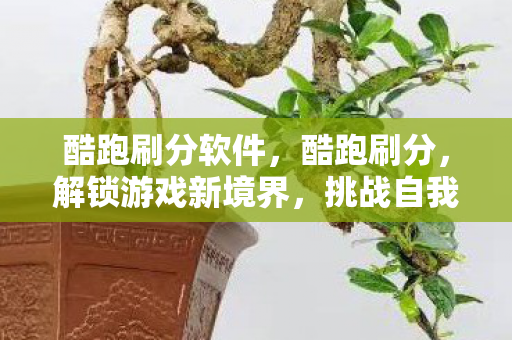 酷跑刷分软件，酷跑刷分，解锁游戏新境界，挑战自我极限