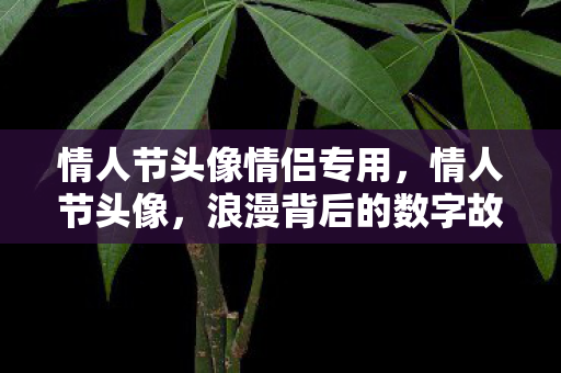 情人节头像情侣专用，情人节头像，浪漫背后的数字故事