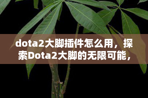 dota2大脚插件怎么用，探索Dota2大脚的无限可能，解锁游戏新体验