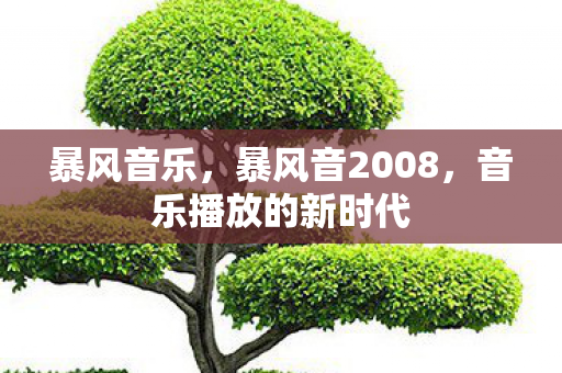暴风音乐，暴风音2008，音乐播放的新时代
