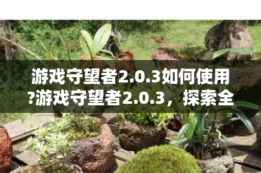 游戏守望者2.0.3如何使用?游戏守望者2.0.3，探索全新游戏体验的守护者