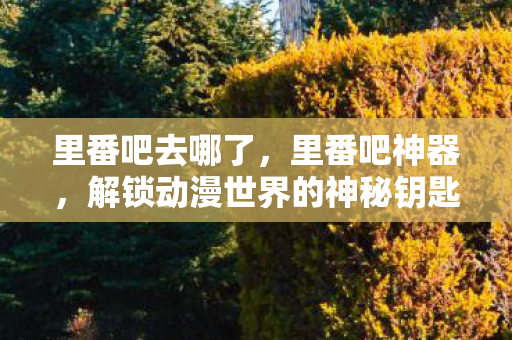 里番吧去哪了，里番吧神器，解锁动漫世界的神秘钥匙
