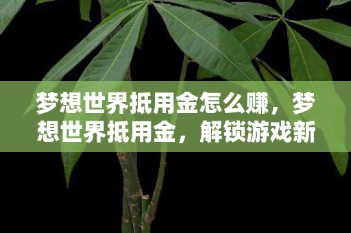 梦想世界抵用金怎么赚，梦想世界抵用金，解锁游戏新世界的钥匙