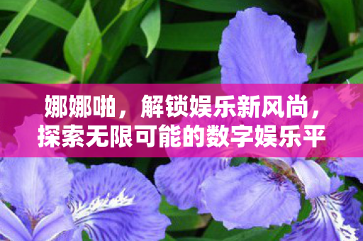 娜娜啪，解锁娱乐新风尚，探索无限可能的数字娱乐平台