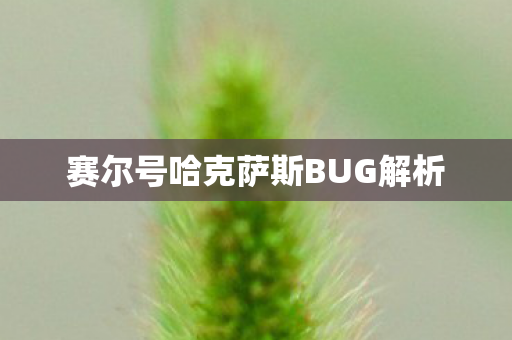 赛尔号哈克萨斯BUG解析