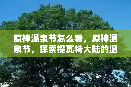 原神温泉节怎么看，原神温泉节，探索提瓦特大陆的温泉文化