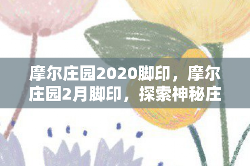 摩尔庄园2020脚印，摩尔庄园2月脚印，探索神秘庄园的足迹