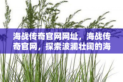 海战传奇官网网址，海战传奇官网，探索波澜壮阔的海战史诗