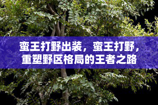 蛮王打野出装，蛮王打野，重塑野区格局的王者之路