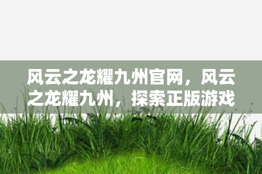 风云之龙耀九州官网，风云之龙耀九州，探索正版游戏的魅力与未来