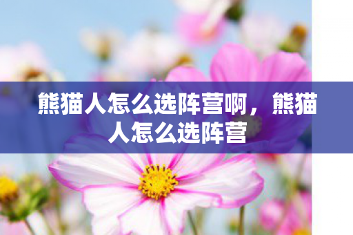 熊猫人怎么选阵营啊，熊猫人怎么选阵营