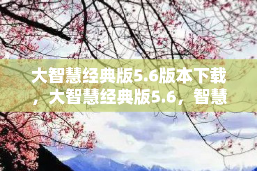 大智慧经典版5.6版本下载，大智慧经典版5.6，智慧投资，从这里开始
