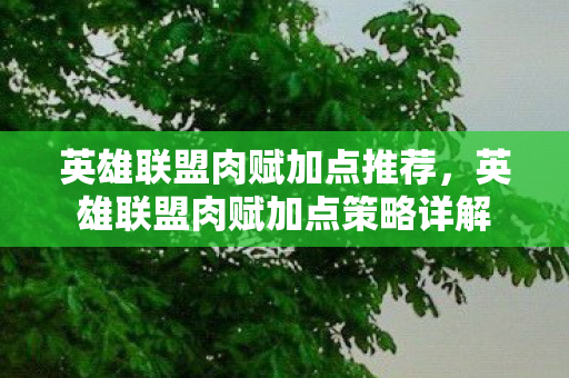英雄联盟肉赋加点推荐，英雄联盟肉赋加点策略详解