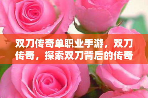 双刀传奇单职业手游，双刀传奇，探索双刀背后的传奇故事