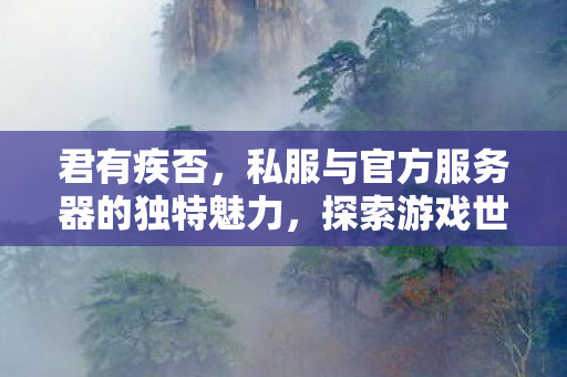 君有疾否，私服与官方服务器的独特魅力，探索游戏世界的不同维度