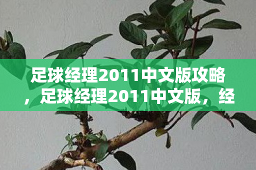 足球经理2011中文版攻略，足球经理2011中文版，经典再现，策略与激情的碰撞