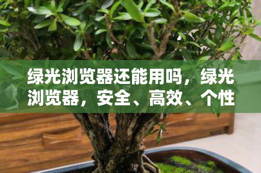 绿光浏览器还能用吗，绿光浏览器，安全、高效、个性化的网络冲浪新选择